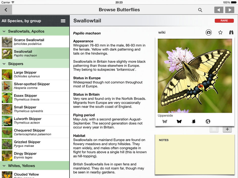 identify butterfly app for ipad